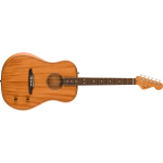 Fender Highway Series Dreadnought akustiline kitarr, All-Mahogany