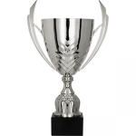 Detail Detail Silver metal cup