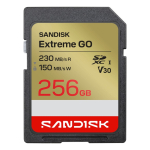 SanDisk Extreme GO 256 GB SDXC UHS-I