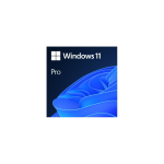 Microsoft Windows 11 Pro 1 litsents(i)