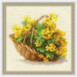 Uab Uab 039039 Riolis039039 Yellow rapeseed 1502
