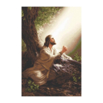 luca luca S Cross stitch kit Jesus Christ 22x33 cm SG618