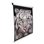 Elite Elite Screens M113NWS1