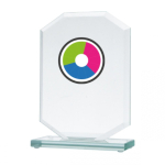 Detail Detail LuxorJet color printing glass trophy