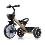 Baby Baby Bike tricycle Milly Mally Bobby Golden