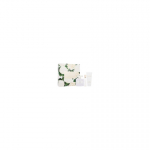 Oscar Oscar de la Renta Bella Blanca Eau de Parfum for women 100 ml