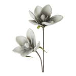 Eurofirany KW/FLORE/748/POP POPI+B