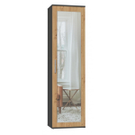 Topeshop DUO SZAFA ANT/ART KP magamistoa garderoob ja kapp 2 riiulid 1 uks(ed)