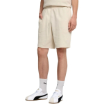 Puma ESS Elevated Relaxed meeste &scaron;ortid sand 692021 87 S