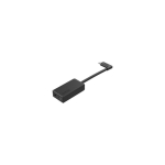 GoPro DGFAAMIC-001
