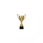 Tryumf Golden metal cup 3133C