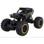 RoGer Climb Power RC Toy Car 1:18