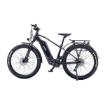 Beaster Beaster Scooter El. Bicycle BEASTER, BS120B