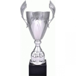 Tryumf Puchar metalowy silver 4127E