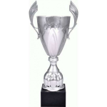 Tryumf Silver metal cup 4127B