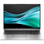 Laptop Laptop HP EliteBook 865 G11 silver