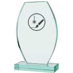 Detail Detail Engraved glass trophy with case + paint filler
