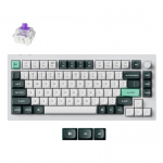 Keychron Q1 HE klaviatuur Universaalne USB + RF Wireless + Bluetooth QWERTY P&otilde;hjamaad Valge