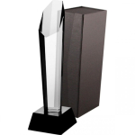 Tryumf Trofeum szklane with etui