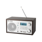 Radio Radio Blow RA2