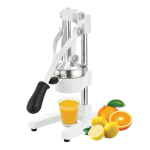 Professionaalne Professionaalne tsitrusviljade mahlapress ZYLE ZY501WCJ, valge