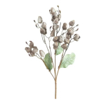 Eurofirany KW/FLORE/867/C.B C.BEIGE