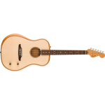 Fender Highway Series Dreadnought akustiline kitarr, Loomulik