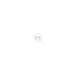 Cisco L1 SMARTCARE (RT, SW, SEC) 8X5 NBD