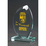 Tryumf Engraved glass trophy with case + paint filling