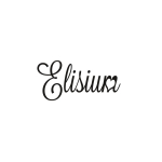 Elisium ELISIUM_Base Coat base for hybrid varnish 9g
