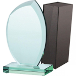 Tryumf Trofeum szklane with etui