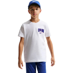 Nike Chelsea F.C. laste T-s&auml;rk valge IQ5103 100 (M)