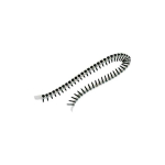 Tape Tape screws RawlPlug R-FTC-3545 3.5x45 mm 1000 pcs.