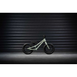 EARLY EARLY RIDER Charger 12" children's bike, green