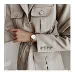 Daniel Daniel Wellington DW00100211 Naiste Kell - Iconic Link (zx706a)