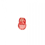 BVLGARI Omnia Coral Eau de Toilette 100 ml Naised