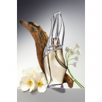 DKNY Donna Karan Cashmere Mist Eau De Parfum 100 ml (naistele)