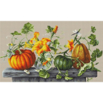 luca luca S Pumpkin SB2303