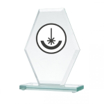 Detail Detail Engraved glass trophy