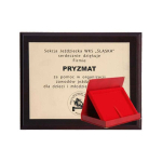 Tryumf Plastic diploma with engraved laminate + case 250x200 mm