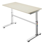 Adjustable Adjustable desk Spacetronik XD SPE-X103WW 120x60