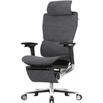 Spacetronik TORHILD ergonomic office chair