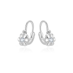 Beneto Decent girls' earrings with clear zircons AGUC3335-1