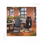 MarkAdlerExpert MarkAdlerExpert 7.9 Black