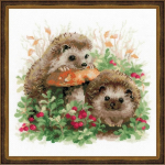 Uab Uab 039039Riolis039039 Hedgehogs in lingonberries 1469