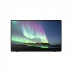 Ricoh 150BW Kaasaskantav monitor Must 39,6 cm (15.6") LED 1920 x 1080 pikslit