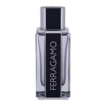 Men's Men's perfume Ferragamo Ferragamo EDT, 100 ml