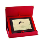 Tryumf Plastic diploma with engraved metal plate + case