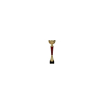 Detail Detail Gold-burgundy metal cup TUMA RD