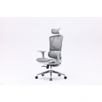 Sihoo M90C ergonomic office chair, gray